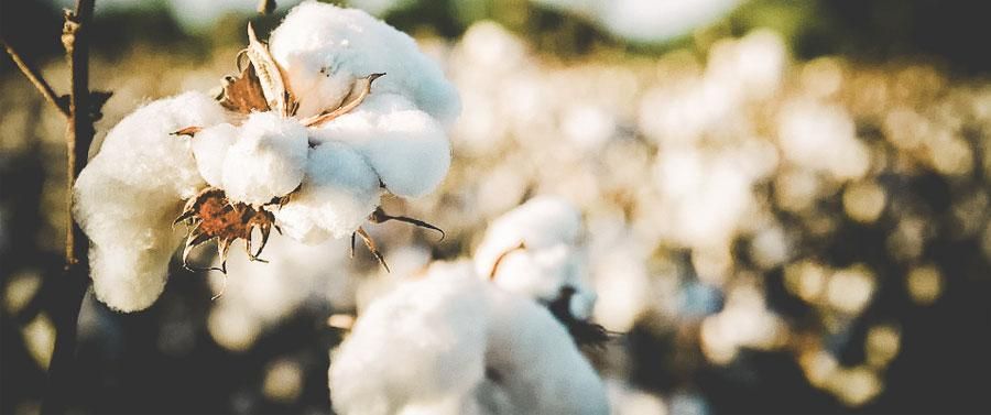 Comment choisir la matière de son linge de lit ?