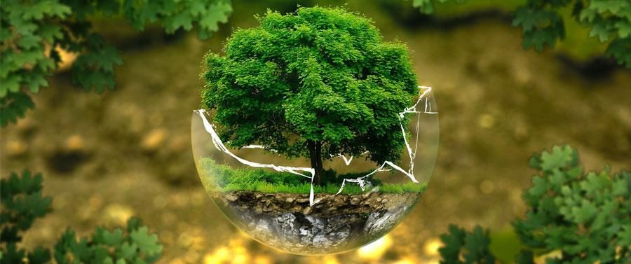 Quand la décoration devient éco-responsable